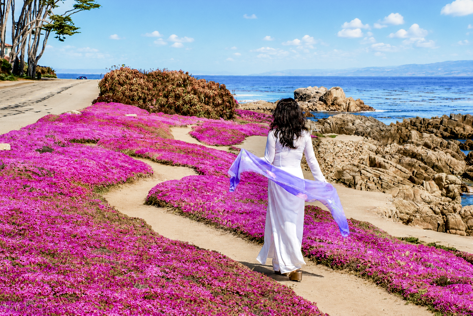 BigSur-Monterey (29)